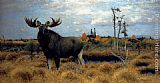 Wilhelm Kuhnert Elks In A Marsh Landscape painting